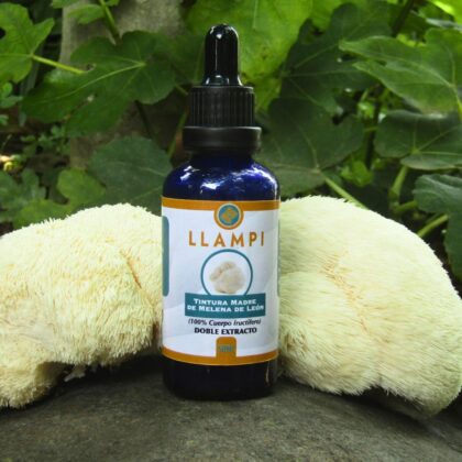 Melena de León (tintura madre, doble extracto - 50ml)